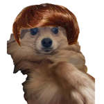 Tobi God