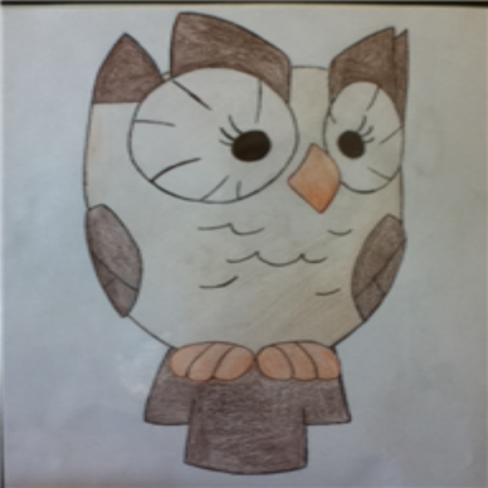 Owlowiscious Drawing  Roblox decal