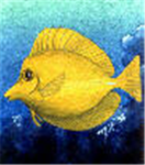sea creatures group