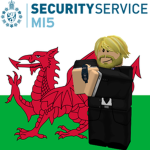 WLS | Security Service™