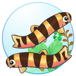 The little fishy’s