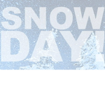 Snowy Sunday