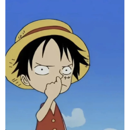 Steal the Straw Hats Flag