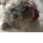 Trippie_0001