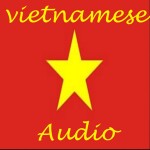 vietnamese audio IDs 2024 working