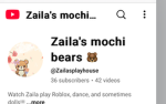 Zaila’s mochi bears