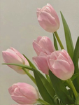 ObvKenzie