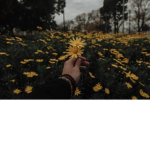 Aesthetics.Chat