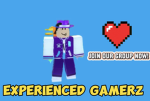 Experienced GamerZ
