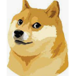 Doge loving hangout