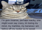 This was the only way I could sell clothes