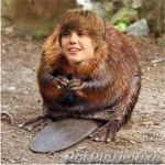 Justin Bieber Revengers!