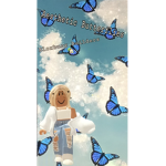 ~Aesthetic Butterfly’s~