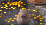 I made this to give bobux to a friend