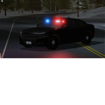Alabama S.E.R.T