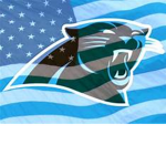 crazy panther squad