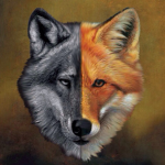 wolf and fox lovers