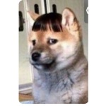 Chocolate UwU