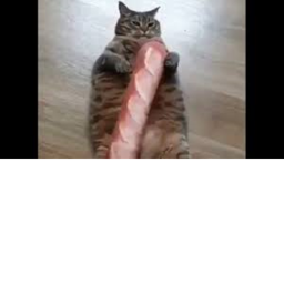 Baguette Catz Throne