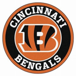 Bengal Fans WHO DEY