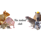 The Rodent Club