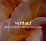 ‘verdant’