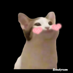 Pop cat粉絲團