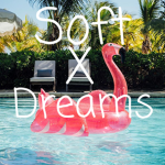 Softxdreams