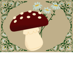Rory’s Mushroom Grove