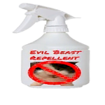 the fiery cats