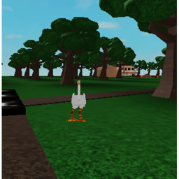 Geese Hangout!