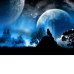 Moonlight Shadow Fans