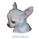 apple head club