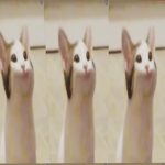 Pop cat HQ