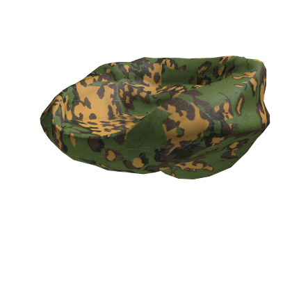 partian hoodie