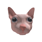 Bingus Cat