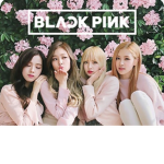 K-pop Fangirls
