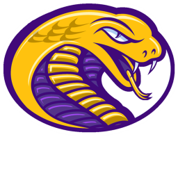 {Ro-NFA} Las Vegas Rattlers field