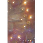 ~P O L A R B E A R S~