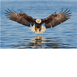 Eagles Rock