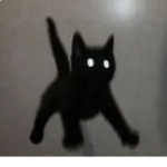 black ᓚᘏᗢ cats