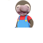 pourlecubdemalica
