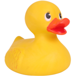 Ducks Around The World