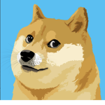 Gino doge group