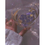 비니의 소통방