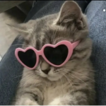 Luna_herztedi