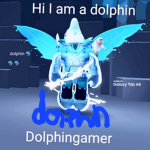 Dolphinsquad and chinnchilla