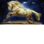 +Golden Stables+