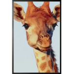 ~Ella's beautiful giraffes~
