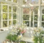 'Lizzie's garden ୭ৎ